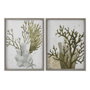 Home ESPRIT Cadre Verre Sapin 45 x 2 x 60 cm