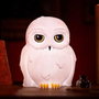 Abysse Lampe Harry Potter Hedwig LED rechargeable USB