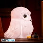 Abysse Lampe Harry Potter Hedwig LED rechargeable USB