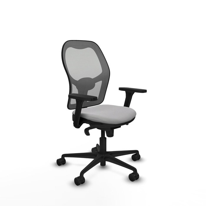 Piqueras y Crespo Chaise de Bureau Jorquera 3D036N0 Gris clair Piqueras y Crespo Chaise de Bureau Jorquera 3D036N0 Gris clair