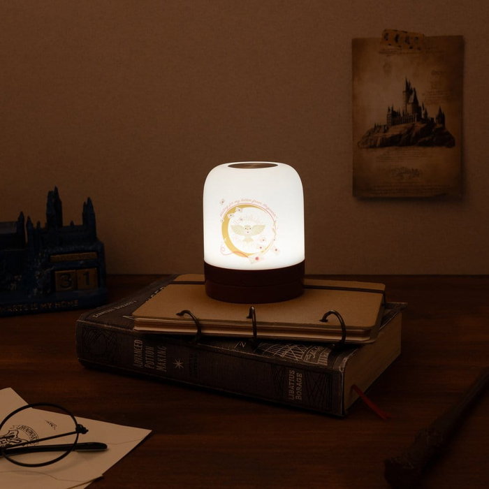 Grupo Erik Lampe d'ambiance Hedwige Harry Potter Grupo Erik Lampe d'ambiance Hedwige Harry Potter
