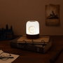 Grupo Erik Lampe d'ambiance Hedwige Harry Potter