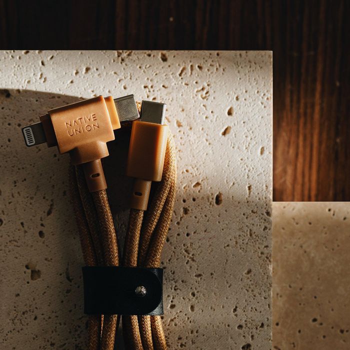 Native Union Belt Cable Universal - Câble 2-en-1 USB-C et Lightning 1.5 m - 60W - Construction écologique avec fibre aramide et cuir recyclé
