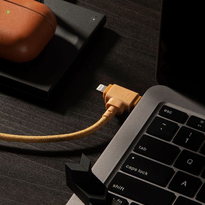 Native Union Belt Cable Universal - Câble 2-en-1 USB-C et Lightning 1.5 m - 60W - Construction écologique avec fibre aramide et cuir recyclé