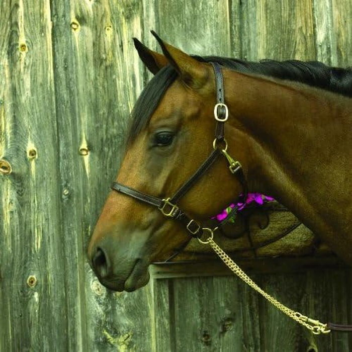 Bague Femme Majorica 17218.01.1.913.010.1 Bague Femme Majorica 17218.01.1.913.010.1