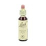 Bach Original Walnut 20 ml
