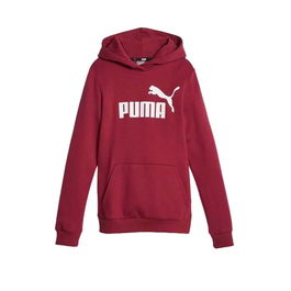 Sweat à capuche enfant Puma Ess Marron