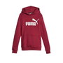 Sweat à capuche enfant Puma Ess Marron