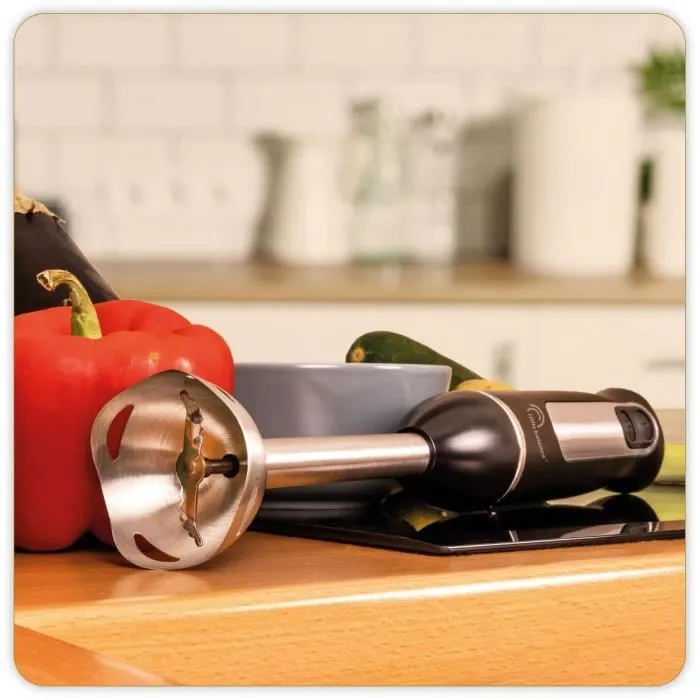 Little Balance Mixeur Plongeant Speed Inox 600W, Sélecteur de Vitesses Variable, Pied Inox, Lames Crantées, Design Noir et Inox