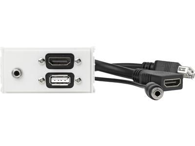 Vivolink Panneau de sortie HDMI + USB 2.0 + 3,5 mm, Blanc Vivolink Panneau de sortie HDMI + USB 2.0 + 3,5 mm, Blanc