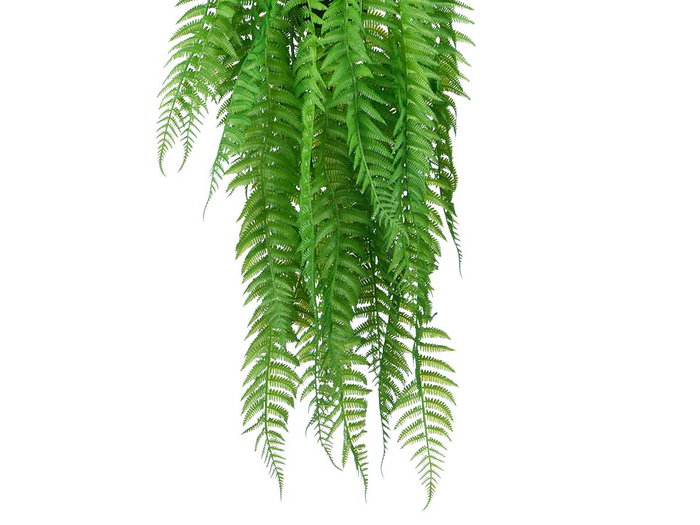 Ibergarden Plante Fougère Suspendue Grande 12x66x12 cm Vert Noir Plastique (Set de 12)