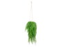 Ibergarden Plante Fougère Suspendue Grande 12x66x12 cm Vert Noir Plastique (Set de 12)