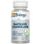 Solaray Bacillus coagulans 60 gélules végétales