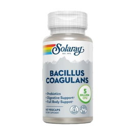 Solaray Bacillus coagulans 60 gélules végétales