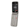 Gigaset GL595 Téléphone Mobile Senior Gris Titanium avec Bouton SOS, Écran 2.8", Bluetooth, USB-C, IP44