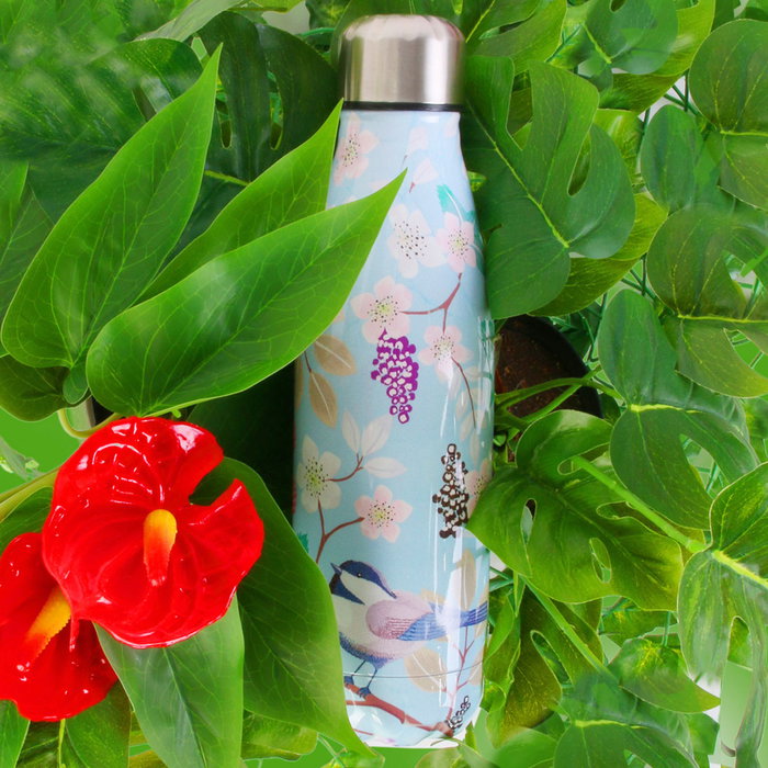 Cook Concept TERMO BOTELLA 500 ML ESTAMPADO