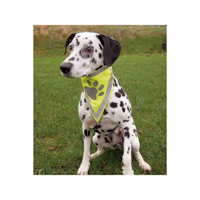 Collier réfléchissant pour animaux Trixie Collier réfléchissant pour animaux Trixie