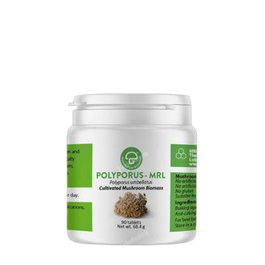 ATENA POLYPORUS-MRL 500mg 90 comprimés