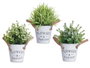 IBERGARDEN Plante décorative verte aspect vieilli avec pot métal 24cm
