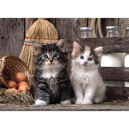 CLEMENTONI Puzzle 1000 Pièces Chatons Mignons Lovely Kittens - 69 x 50 cm