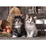 CLEMENTONI Puzzle 1000 Pièces Chatons Mignons Lovely Kittens - 69 x 50 cm