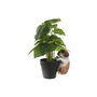 Home ESPRIT Figurine Décorative Blanc Marron (Lot de 4)