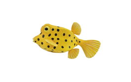 COLLECTA Poisson-Coffre - Échelle S
