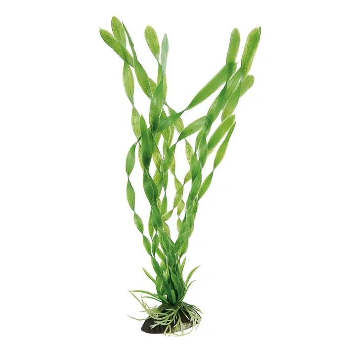 Ferplast Plante en Soie pour Aquarium Bleu 9072 5,5x2,5x20cm Ferplast Plante en Soie pour Aquarium Bleu 9072 5,5x2,5x20cm