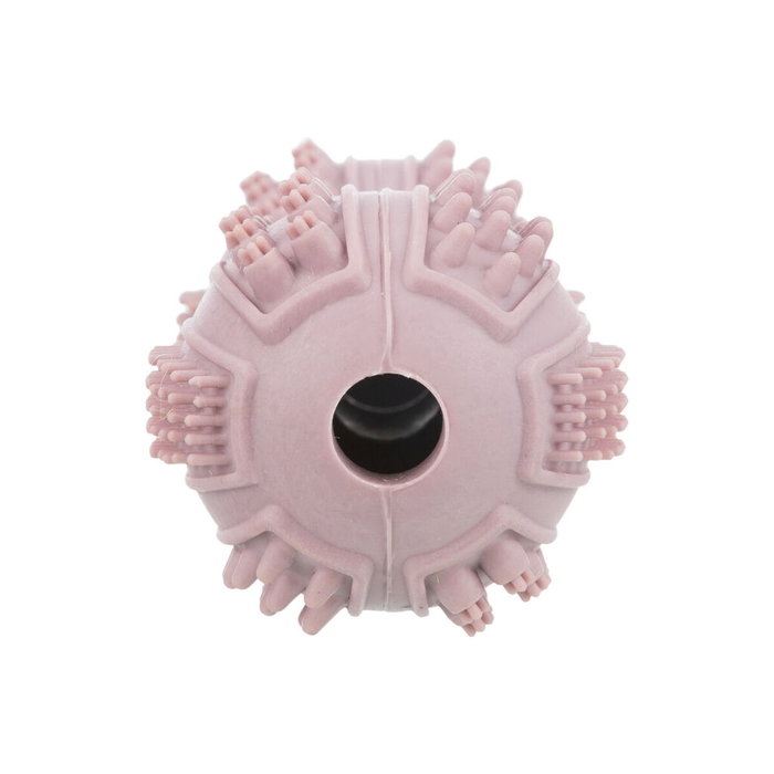 Jouet pour chien Trixie 9 cm