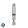 WOLFPACK LINEA PROFESIONAL Embout pour vis long Torx T-40