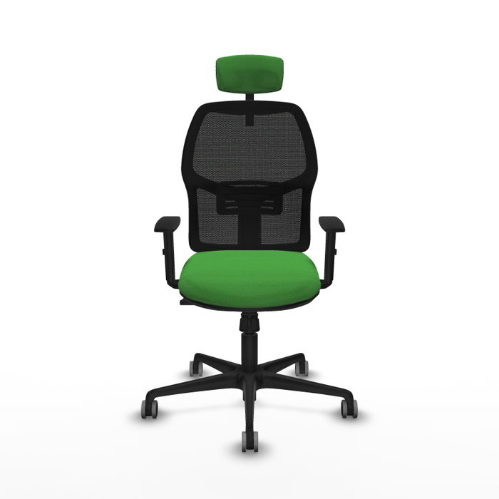Chaise Alfera Synchro 4 positions tissu Vert Maille Noir Base en nylon noir Accoudoir 1D Appui-tête 2D Roulettes 65mm pour moquette Chaise Alfera Synchro 4 positions tissu Vert Maille Noir Base en nylon noir Accoudoir 1D Appui-tête 2D Roulettes 65mm pour moquette