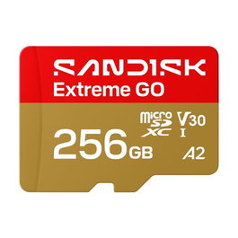 SanDisk Extreme GO 256 Go MicroSDXC