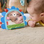 Fisher Price Mon Premier Miroir