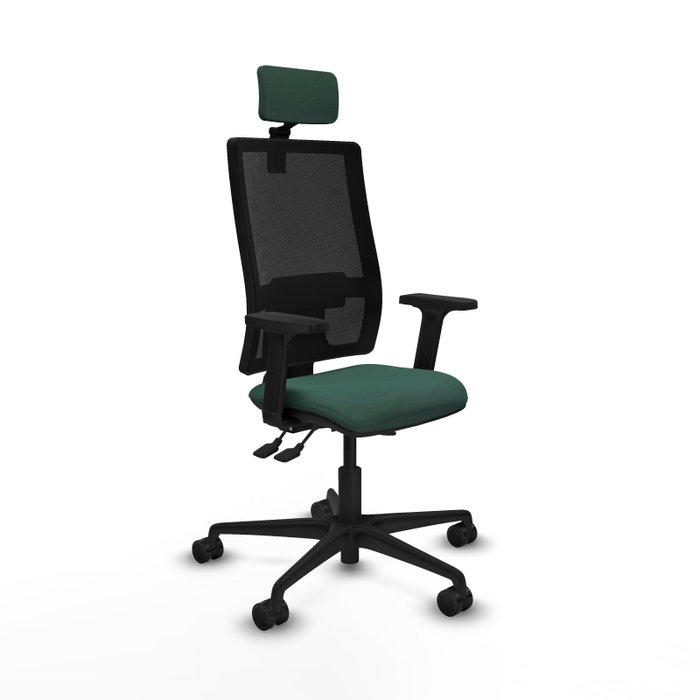 Piqueras Y Crespo Bormate Chaise de bureau ergonomique Vert bouteille/Noir Piqueras Y Crespo Bormate Chaise de bureau ergonomique Vert bouteille/Noir
