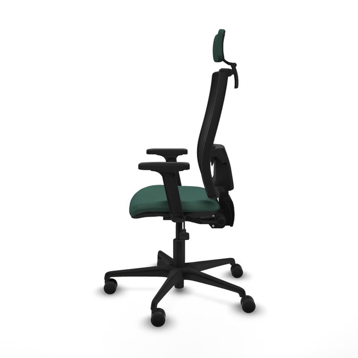 Piqueras Y Crespo Bormate Chaise de bureau ergonomique Vert bouteille/Noir Piqueras Y Crespo Bormate Chaise de bureau ergonomique Vert bouteille/Noir