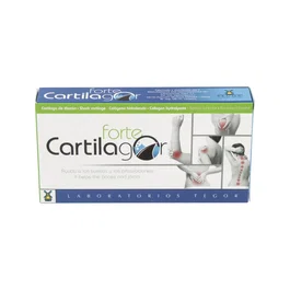 TEGOR CARTILAGOR FORTE 40 capsules