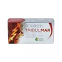 MARNYS Tribulmar 60 capsules végétales