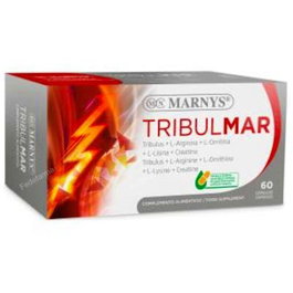 MARNYS Tribulmar 60 capsules végétales