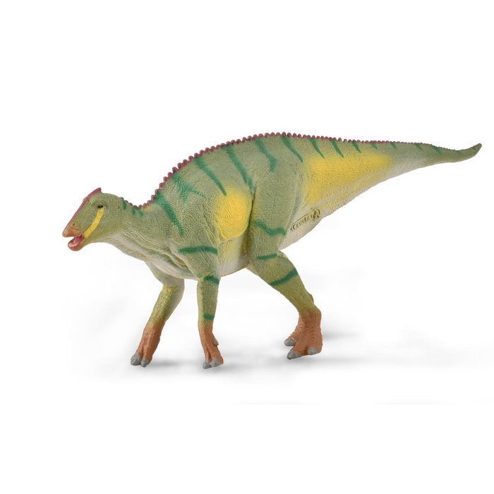 COLLECTA Kamuyasaurus - Taille M