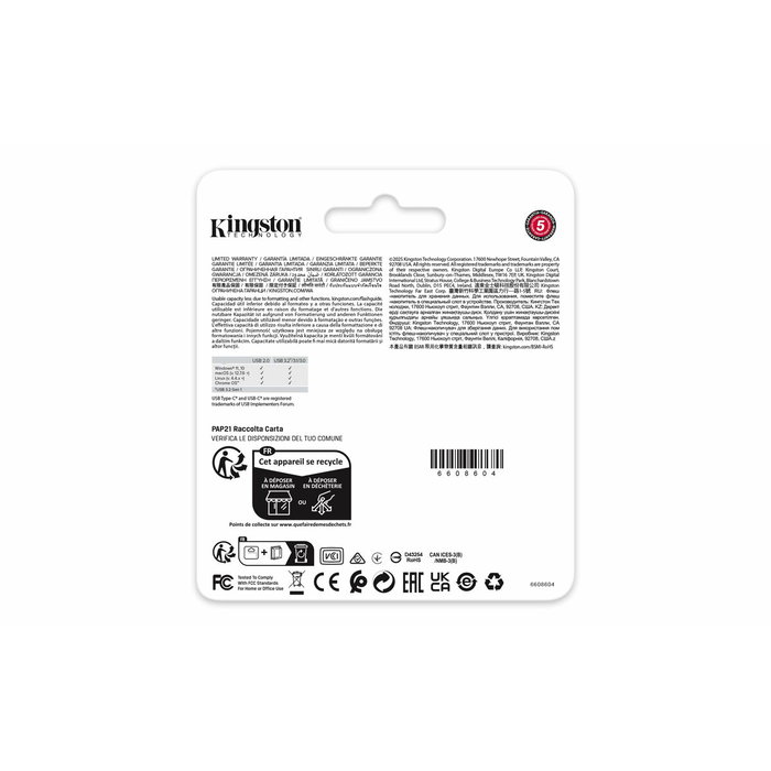 Clé USB Kingston DTDEG2/256GB 256 GB