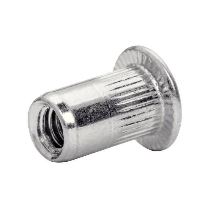 RAPID Ecrous à sertir M4 - 20 pièces - Acier brillant - Longueur 4 mm - Tête ronde cylindrique RAPID Ecrous à sertir M4 - 20 pièces - Acier brillant - Longueur 4 mm - Tête ronde cylindrique