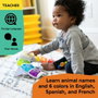 Baby Einstein Glow & Discover Light Bar - Jouet Musical Multicolore