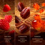 Jawhara DATES SUCRÉ Eau de Parfum 100 ml