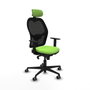 Piqueras y Crespo Chaise de Bureau 1D036G2 Pistache
