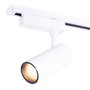 Lumiastra Spot LED sur Rail 30W 3000Lm 4200K Blanc