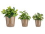 Ibergarden Lot de 3 pots coniques en céramique taupe 14 17 22 cm