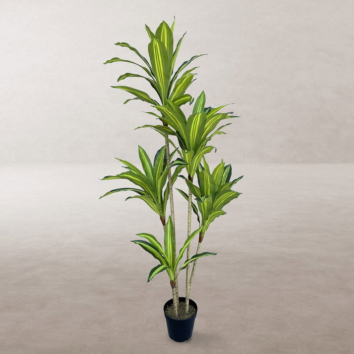 BigBuy Home Plante décorative Polyuréthane Ciment 150 cm BigBuy Home Plante décorative Polyuréthane Ciment 150 cm