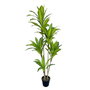 BigBuy Home Plante décorative Polyuréthane Ciment 150 cm