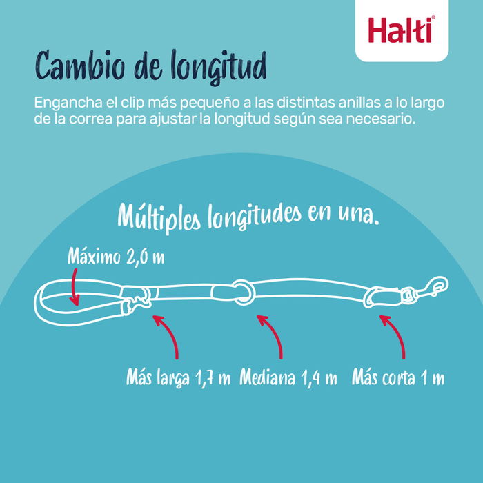 Sangle d'entraînement Company of Animals BURNT Orange Sangle d'entraînement Company of Animals BURNT Orange