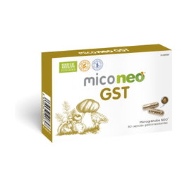 NEO MICO NEO GST 60caps